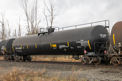 CGTX 65258
