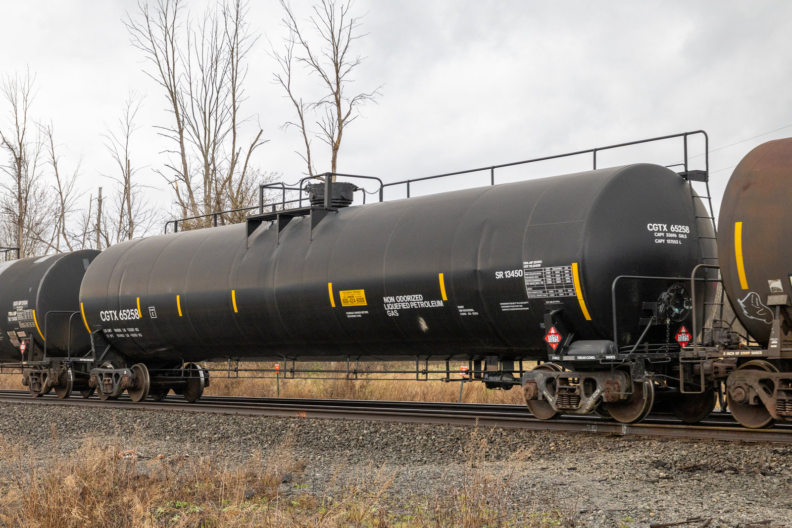 CGTX 65258
