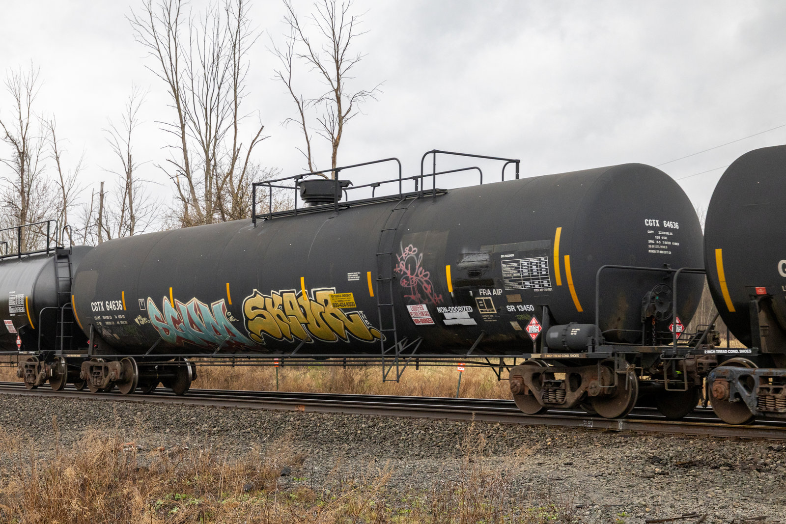CGTX 64636