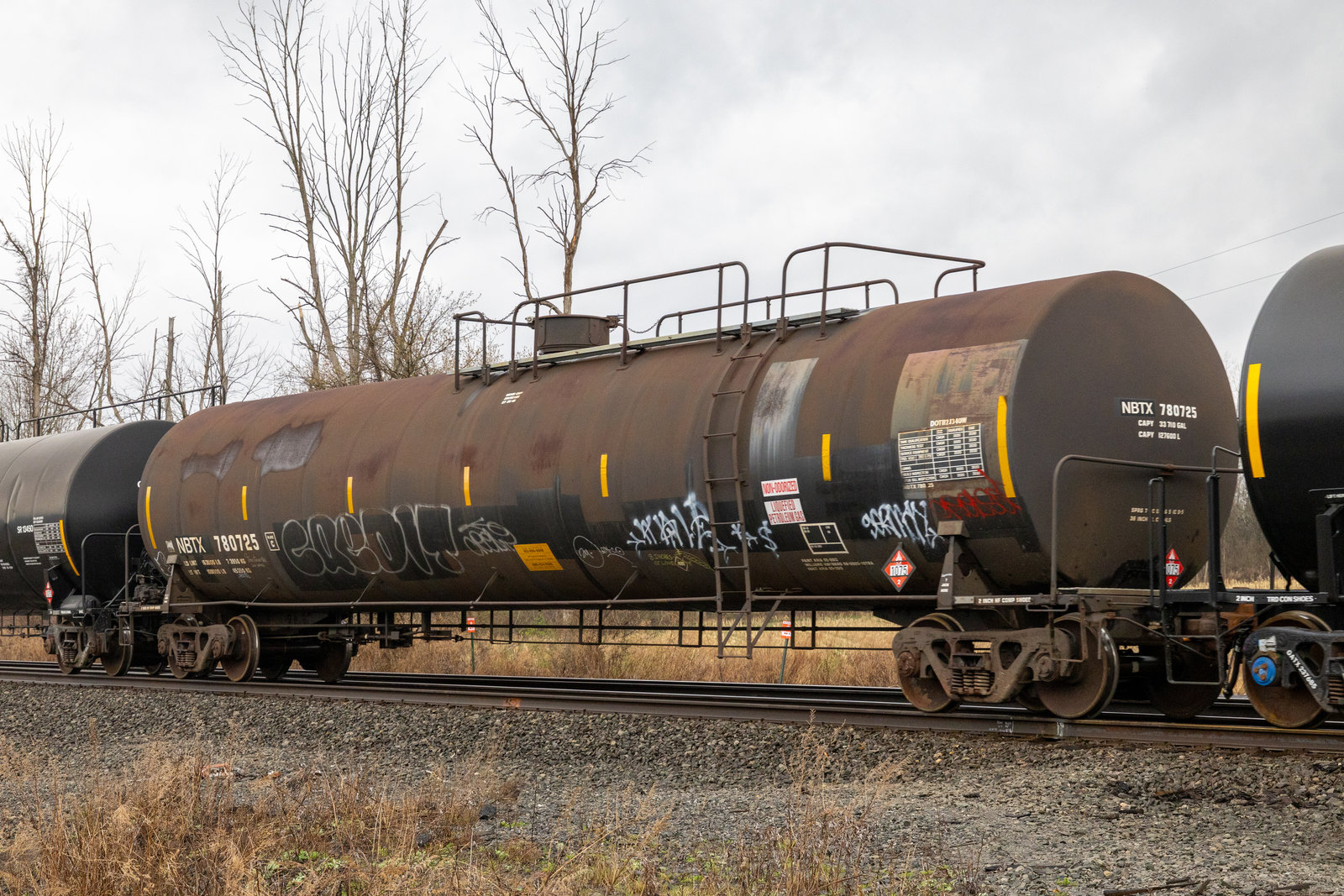 NBTX 780725