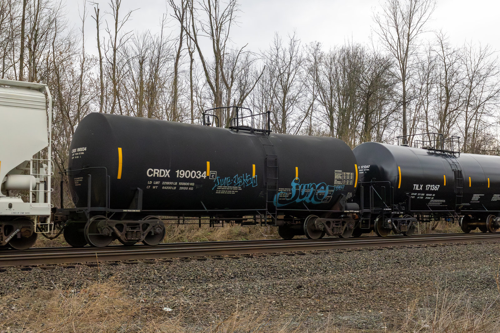 CRDX 190034