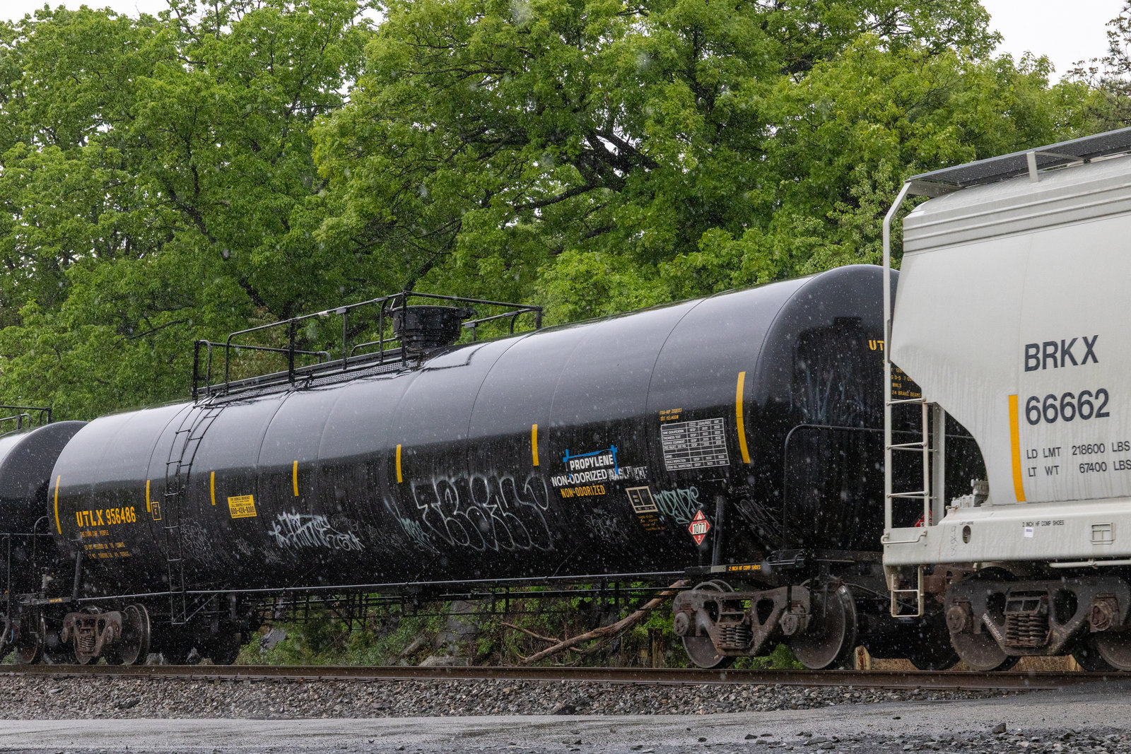 UTLX 956486