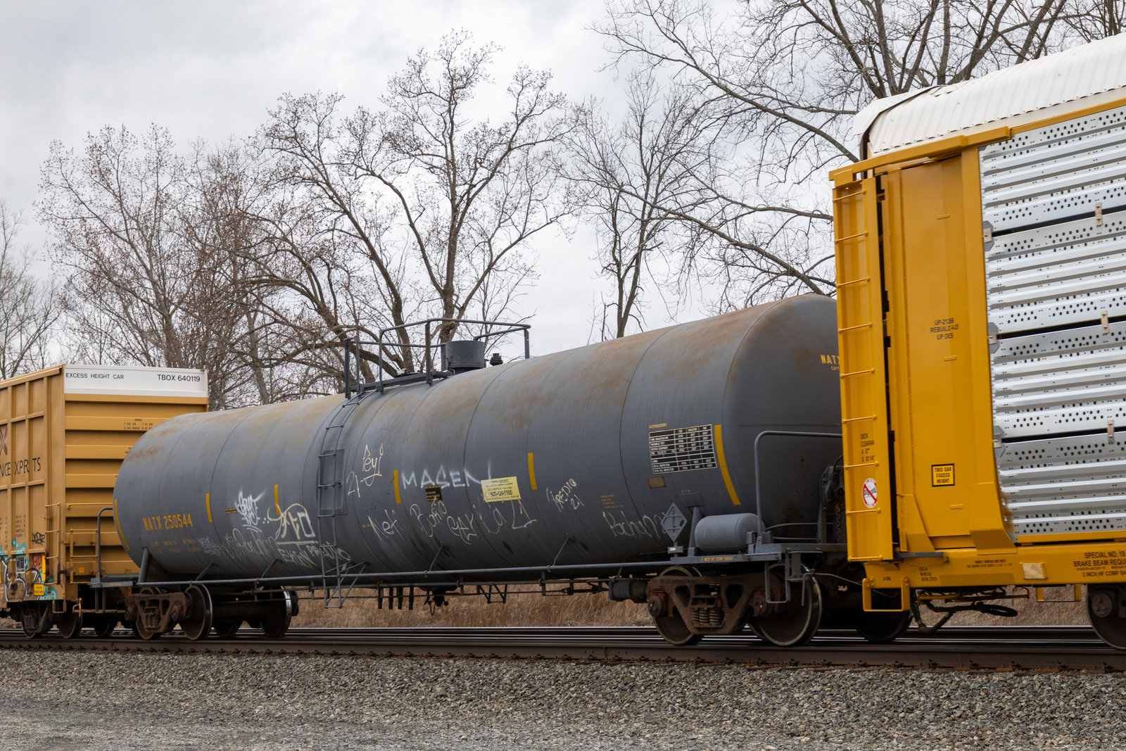 NATX 250544
