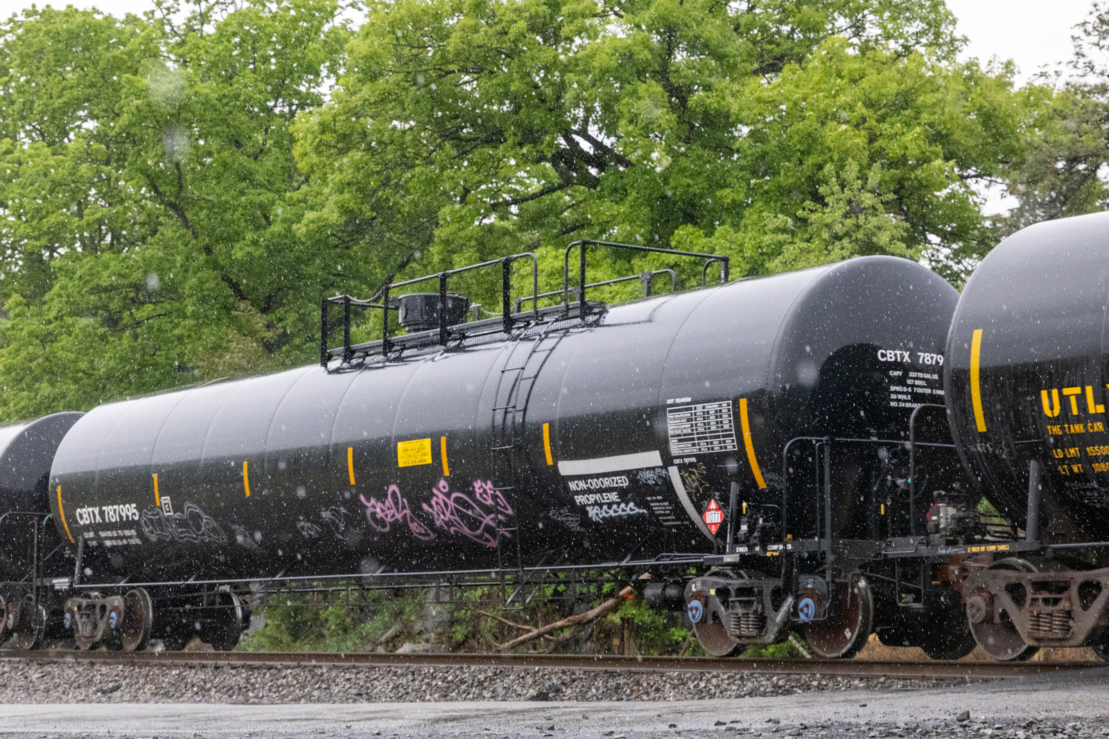 CBTX 787995
