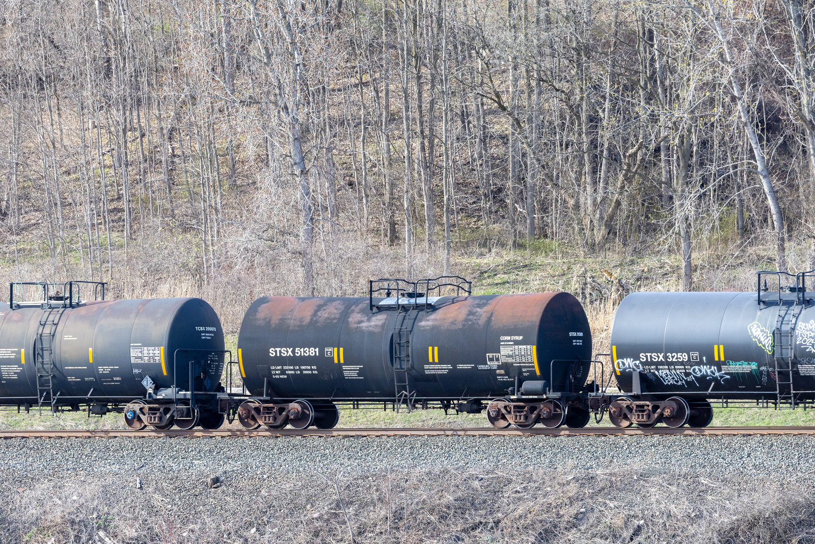 STSX 51381