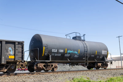 CCLX 1305