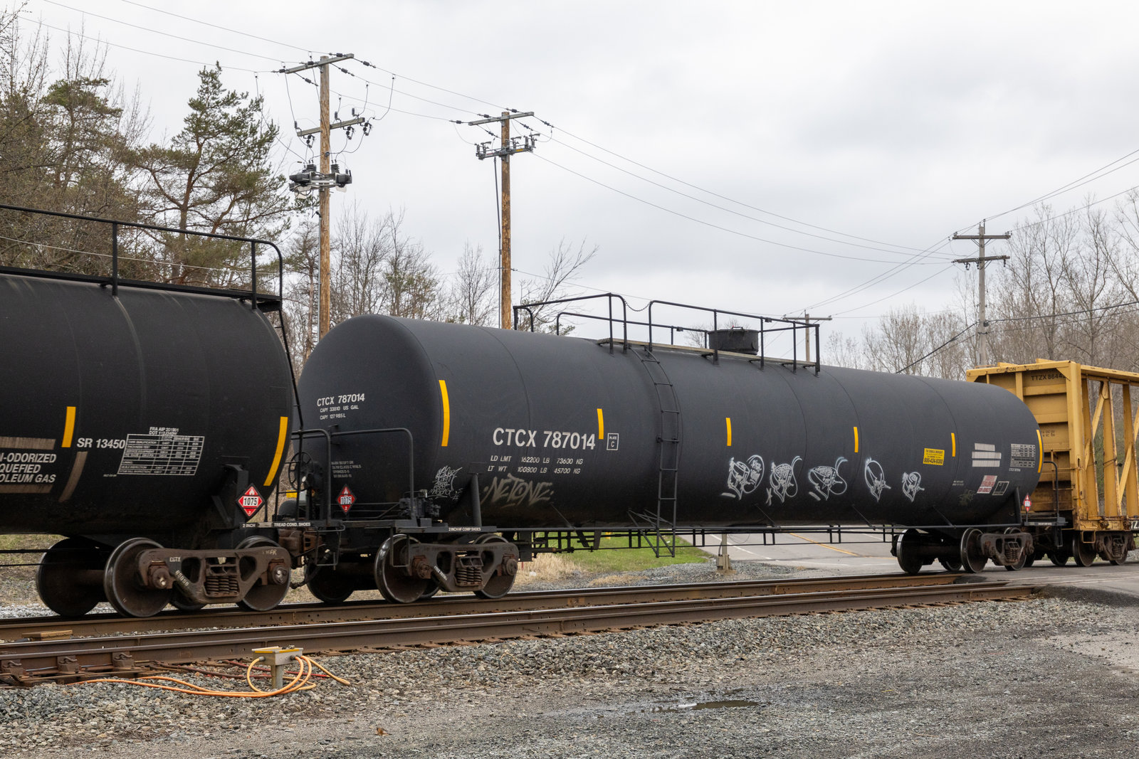 CTCX 787014