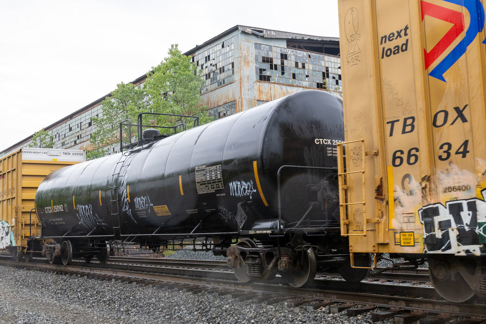 CTCX 250162