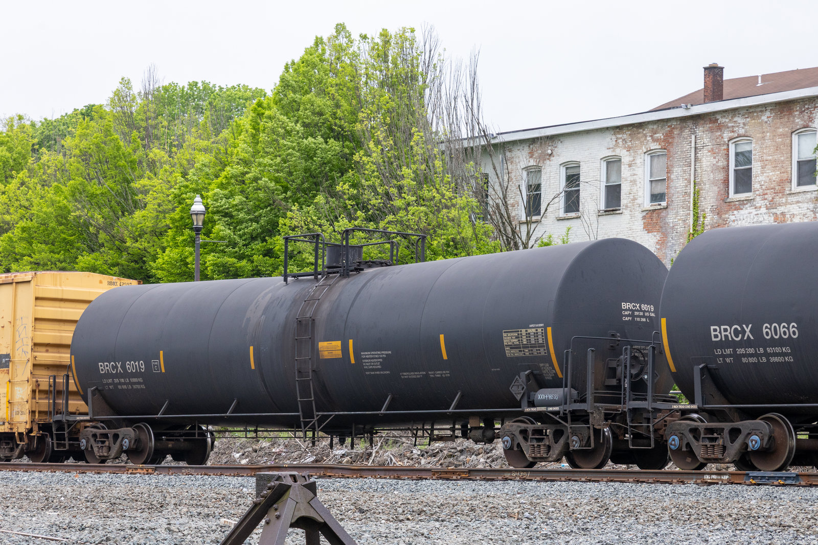BRCX 6019