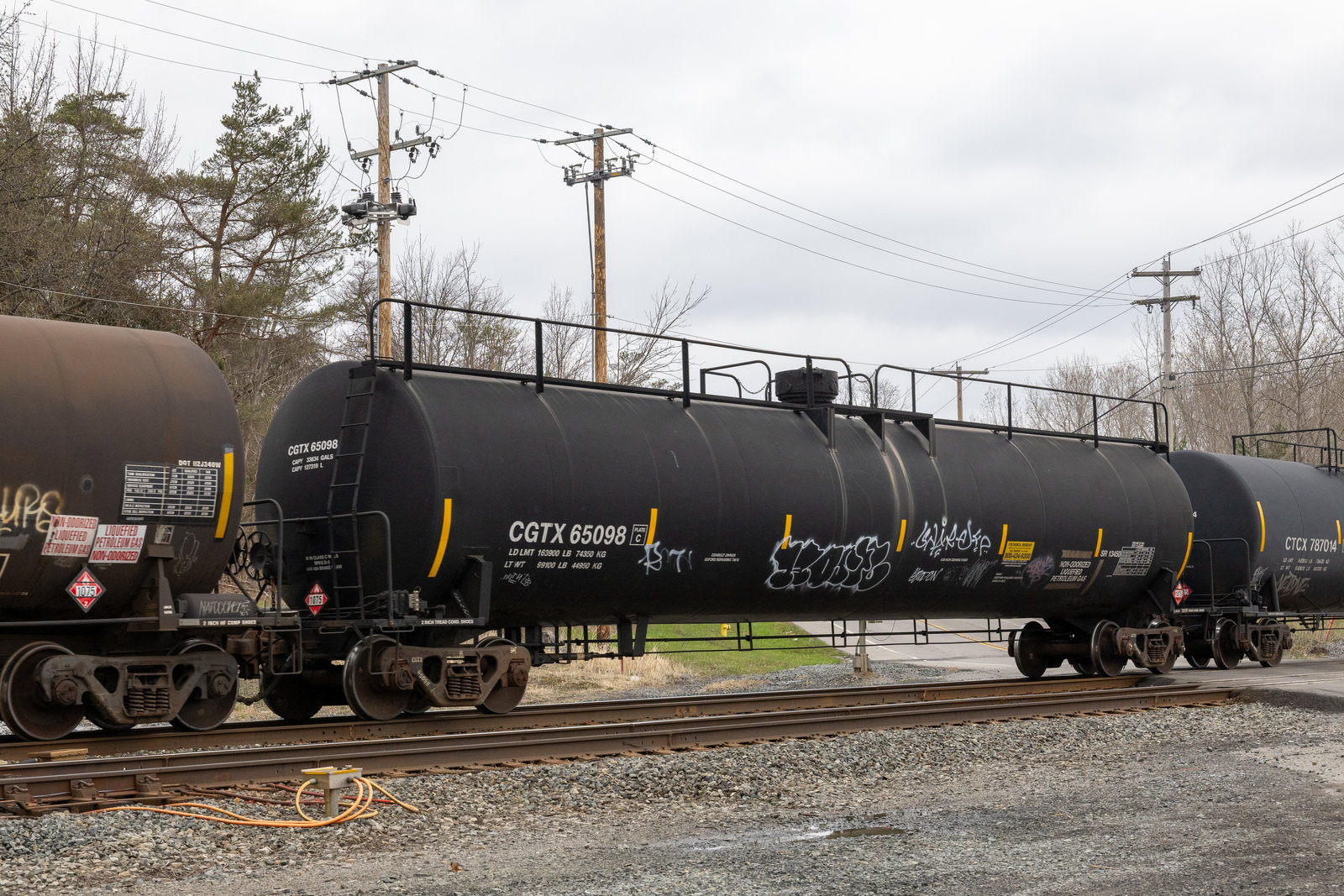 CGTX 65098