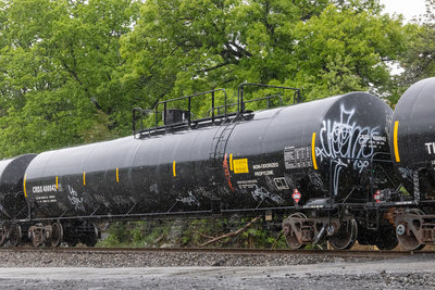 CRDX 400042