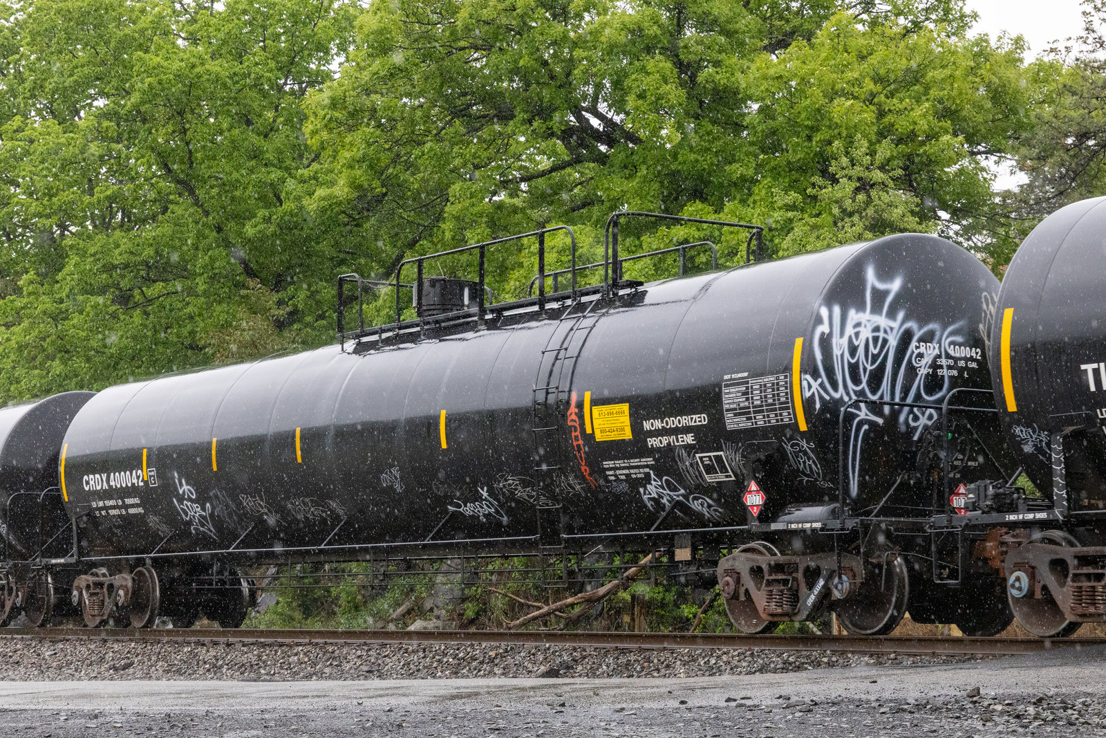 CRDX 400042