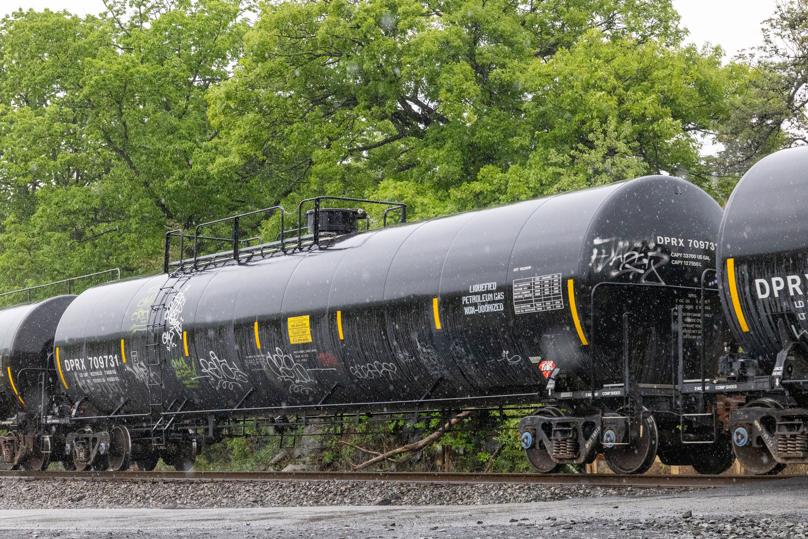 DPRX 709731