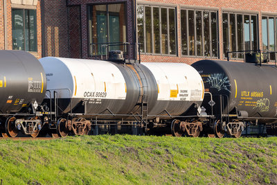 OCAX 80629