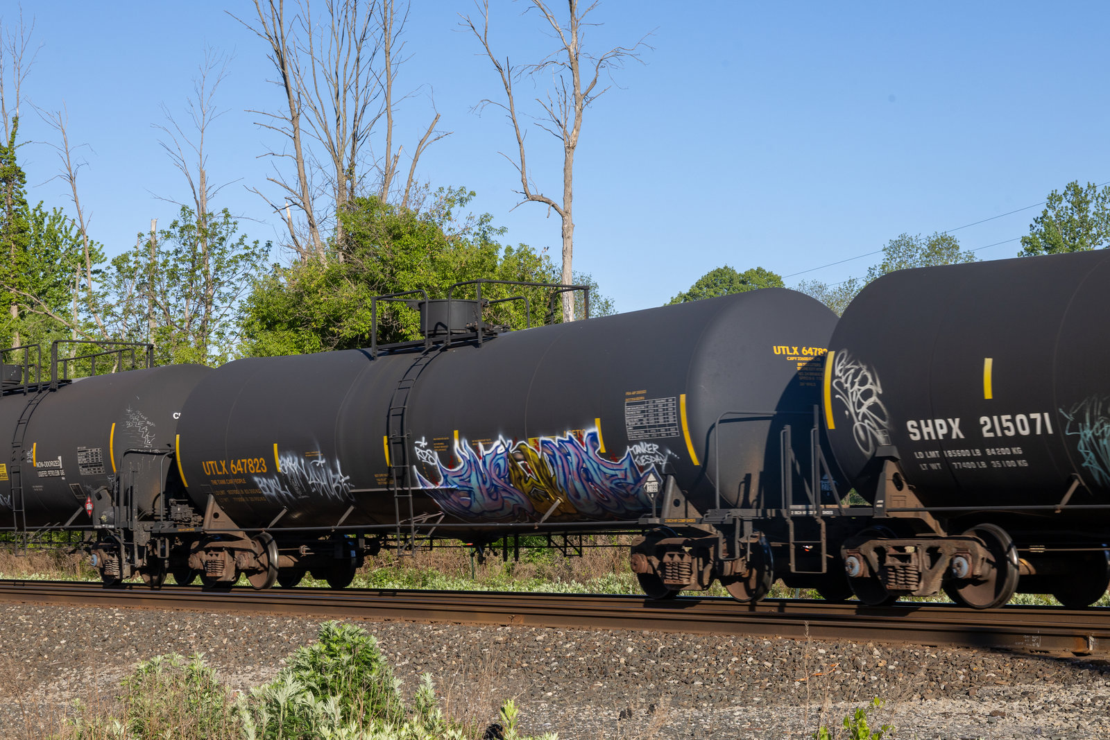 UTLX 647823