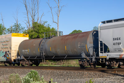 CRGX 16184