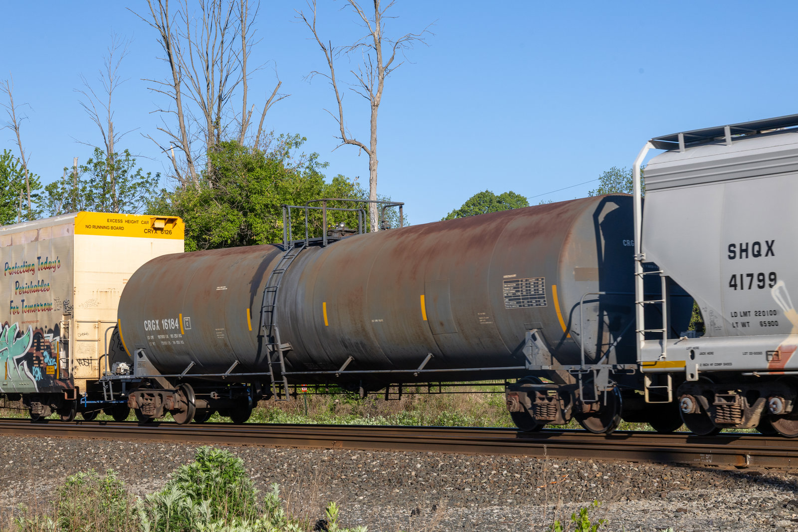 CRGX 16184