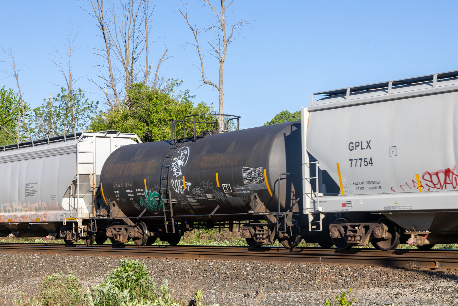 CRGX 5401