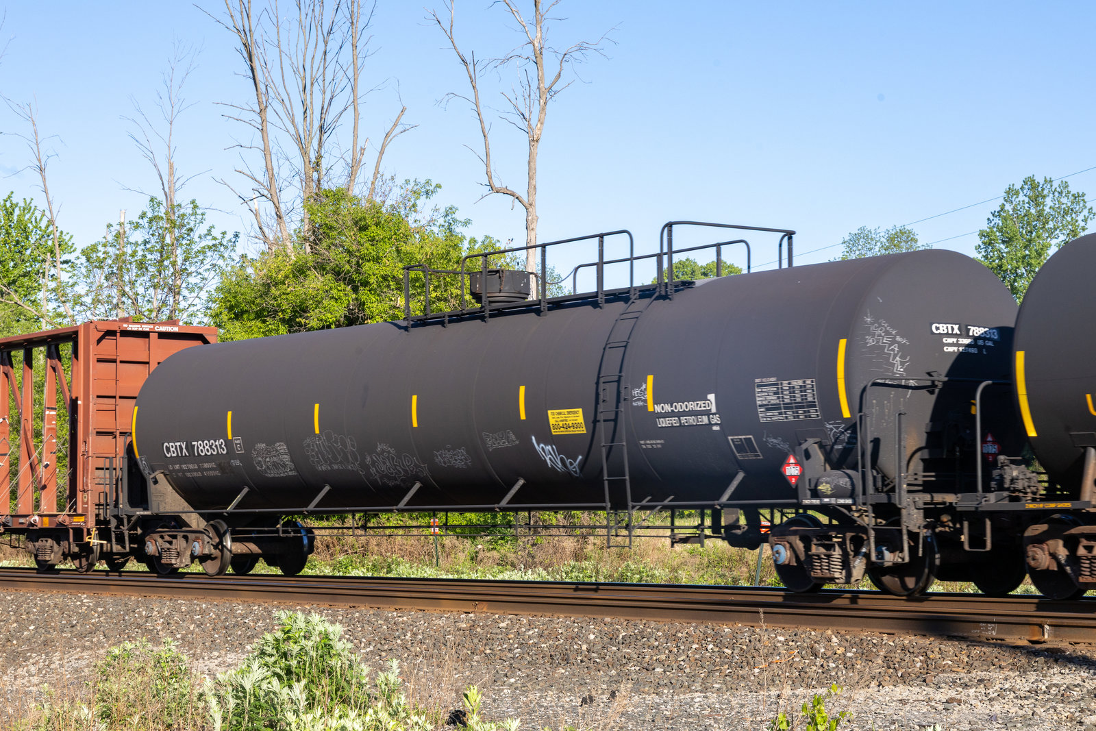 CBTX 788313