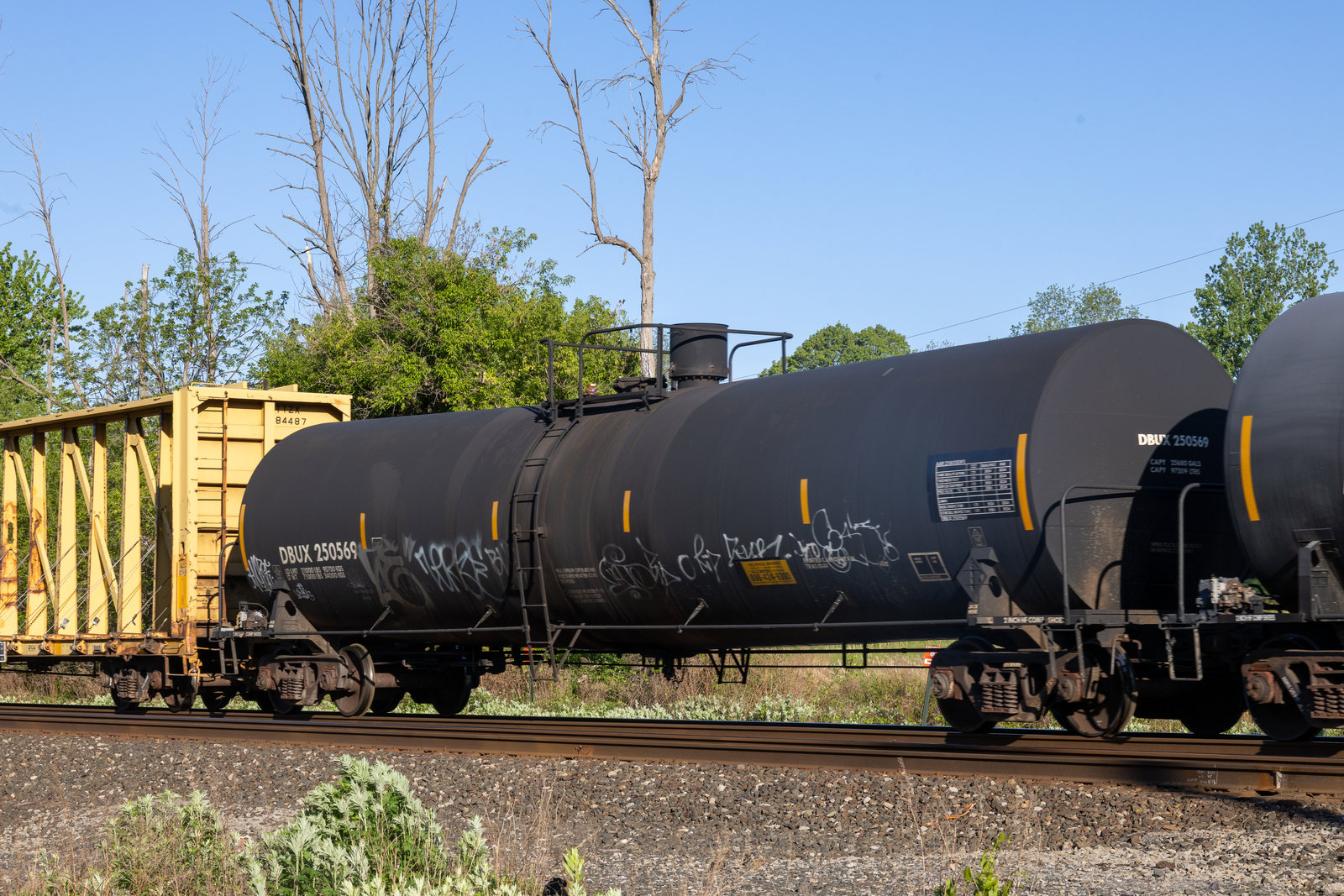 DBUX 250569