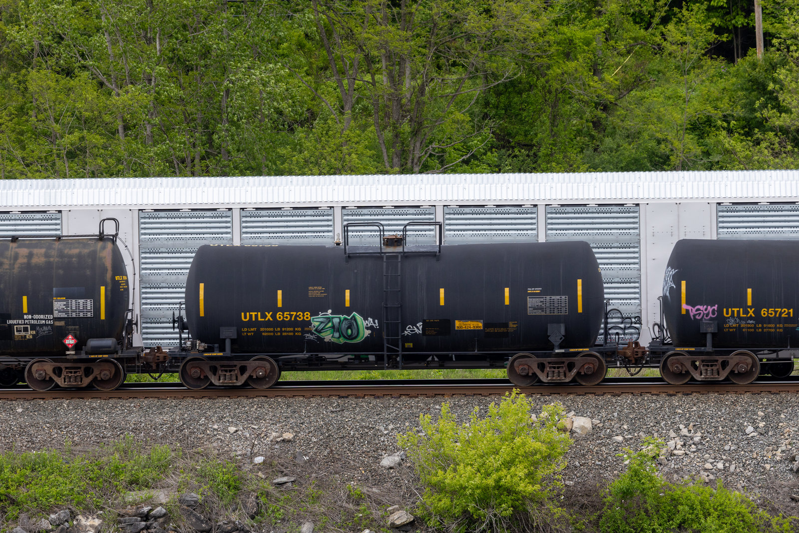 UTLX 65738