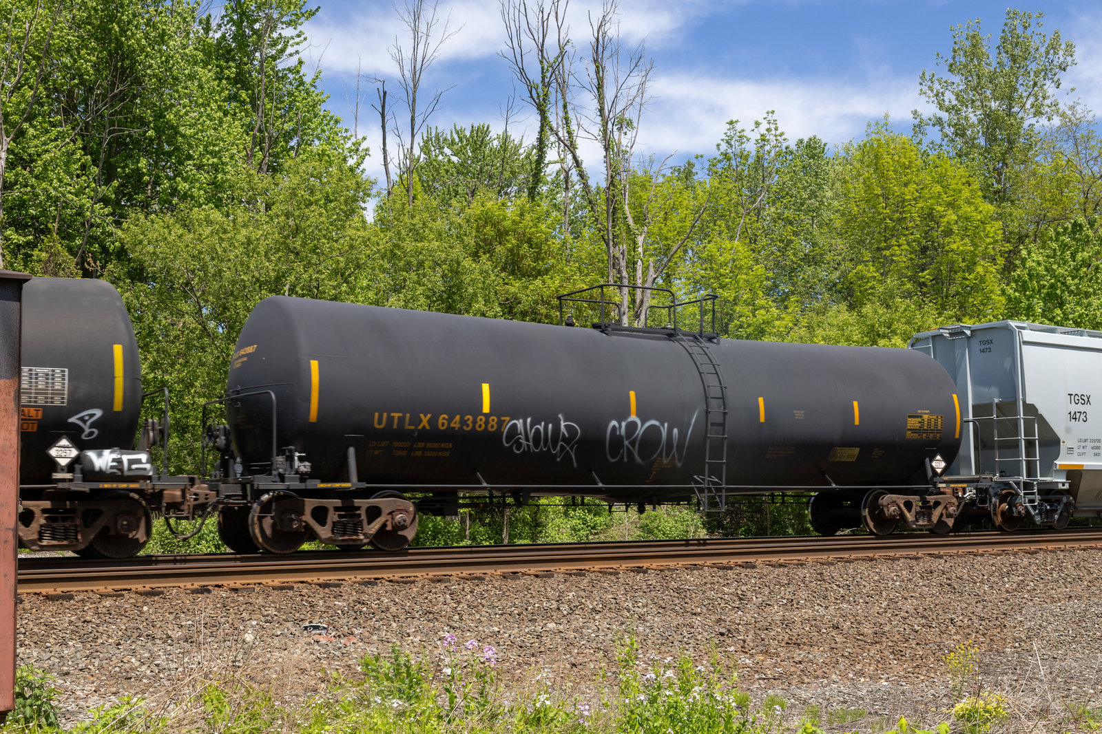 UTLX 643887