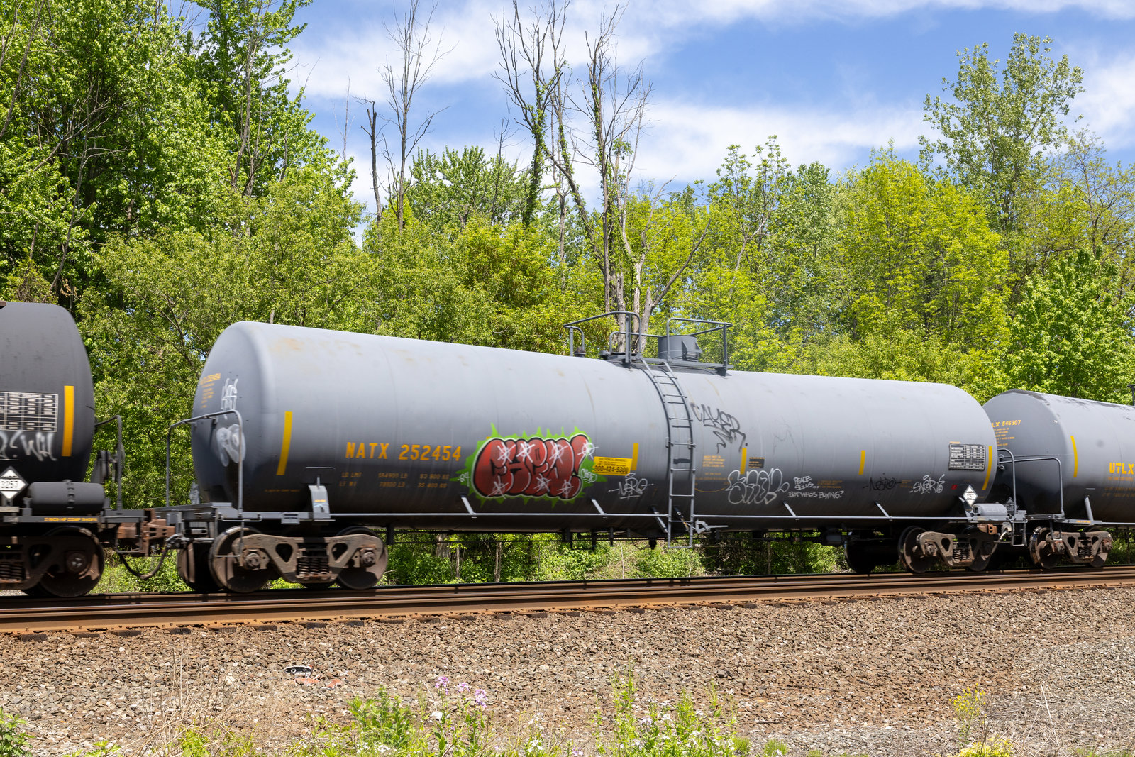 NATX 252454