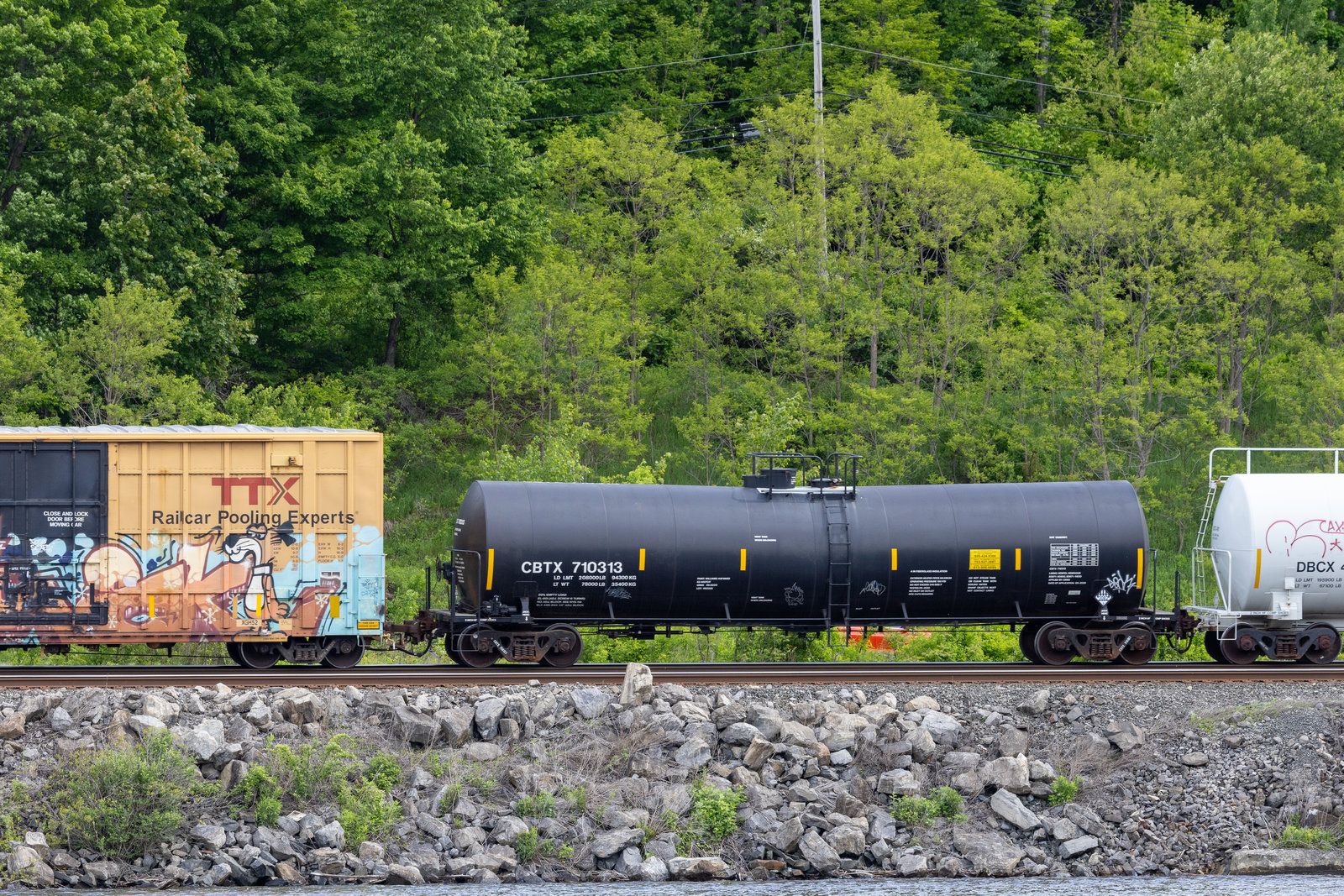 CBTX 710313