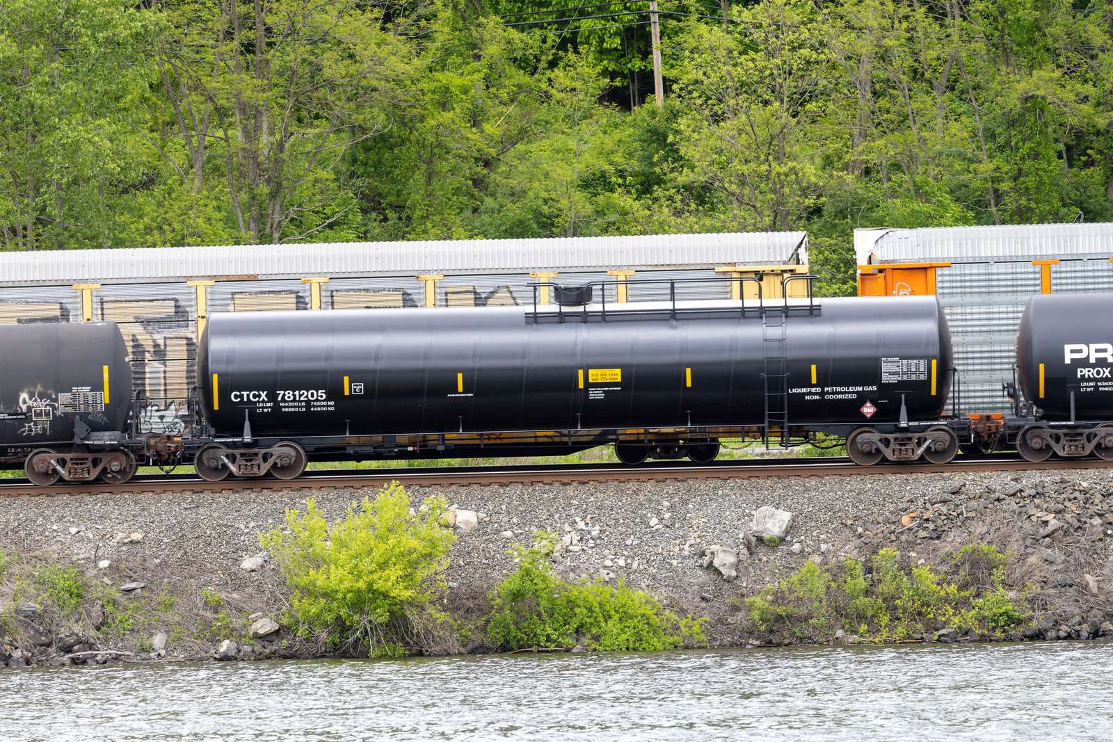 CTCX 781205