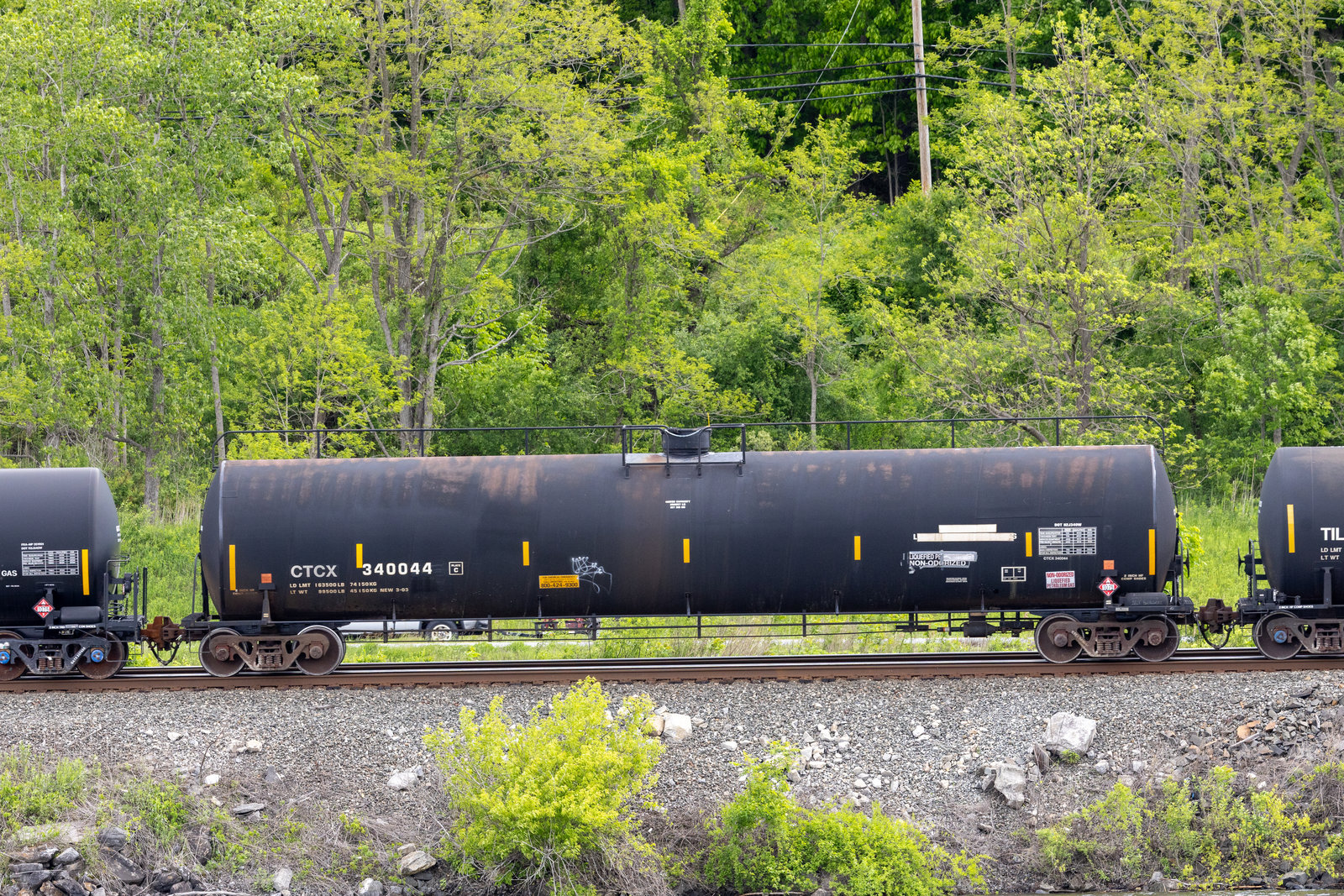 CTCX 340044