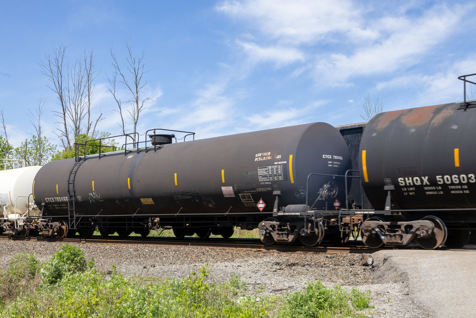 CTCX 780466