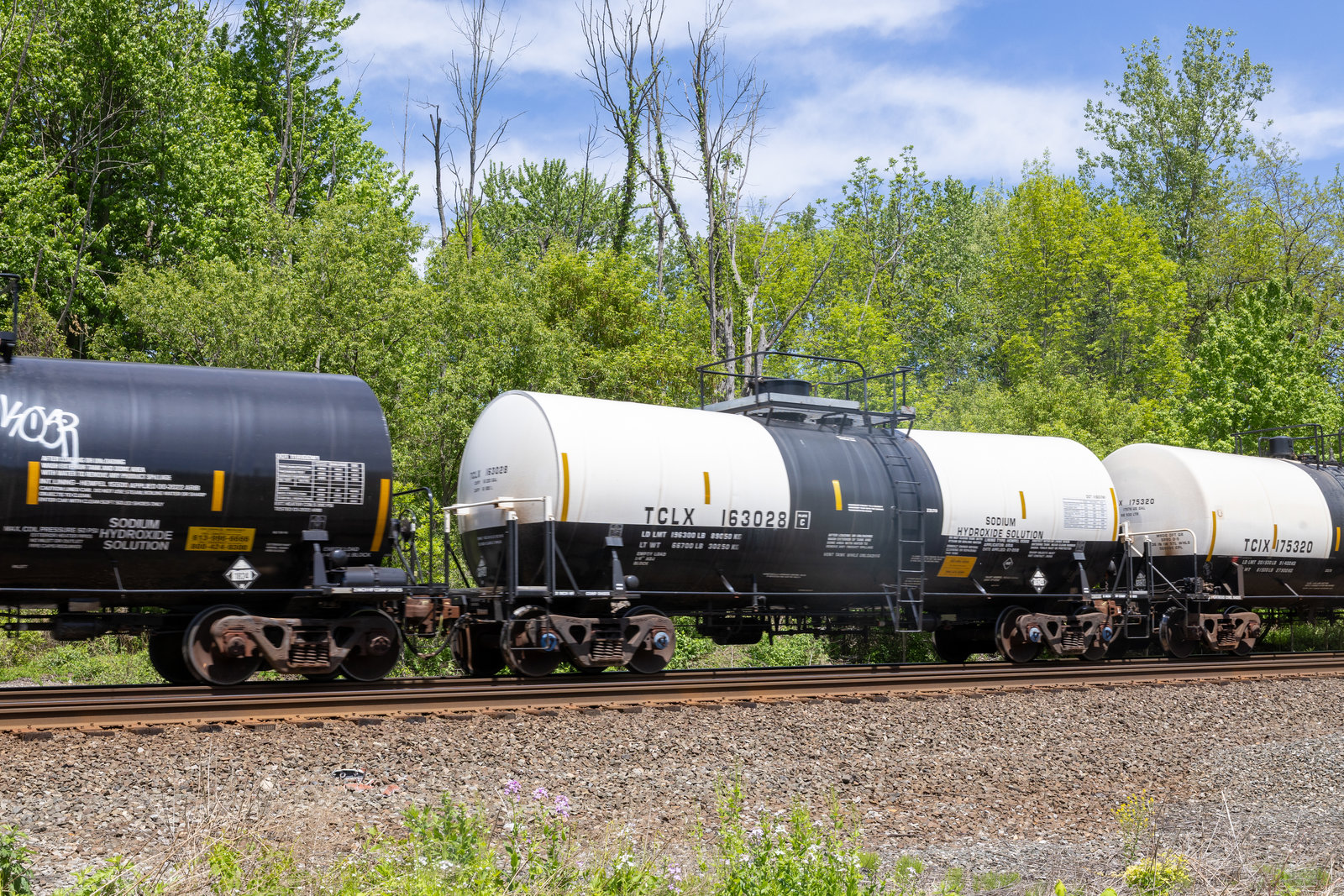 TCLX 163028