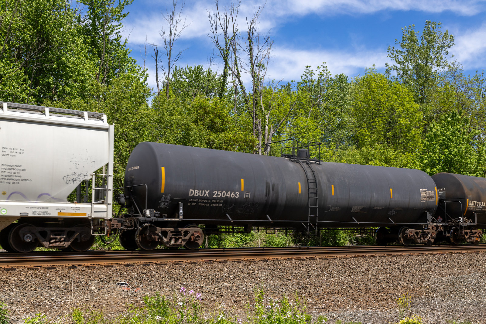 DBUX 250463