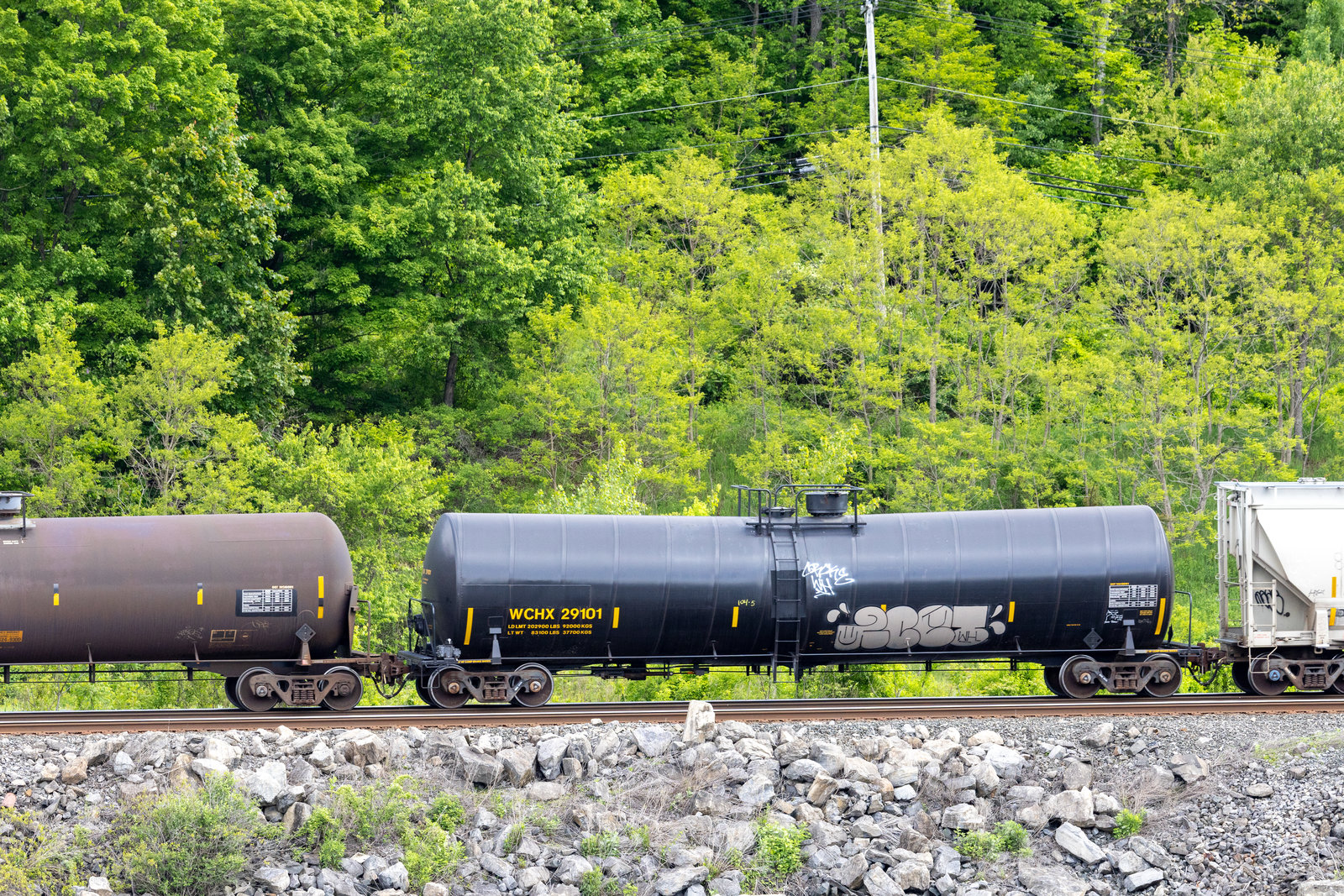 WCHX 29101