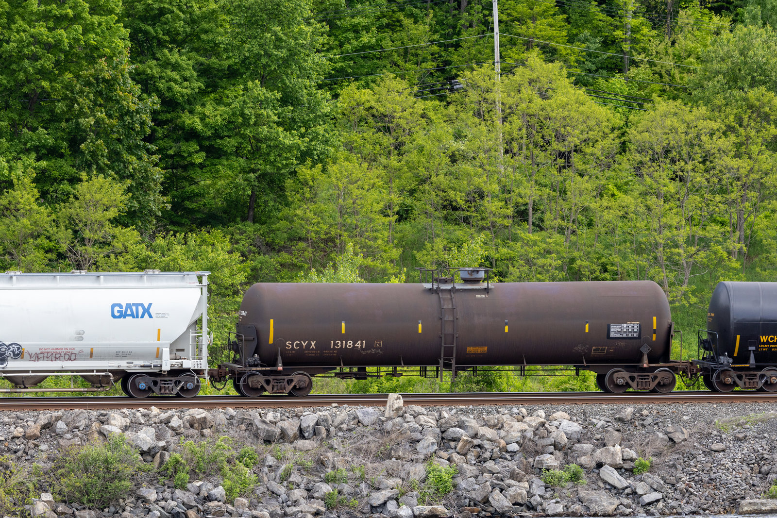 SYCX 131841