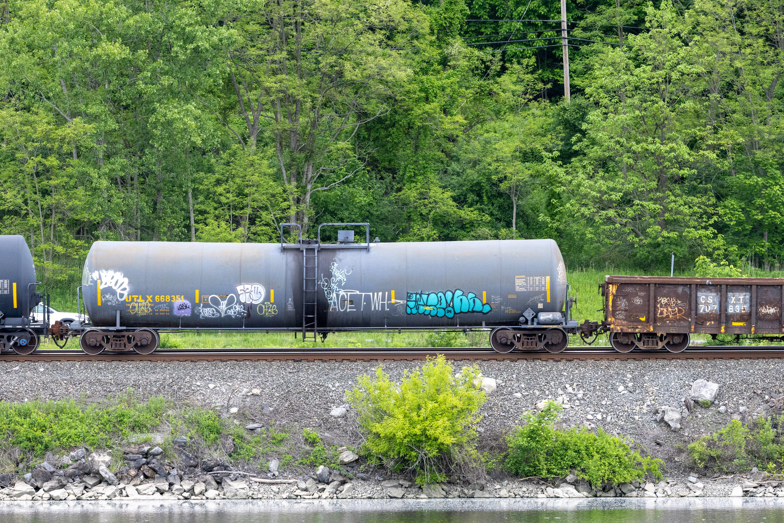 UTLX 668351