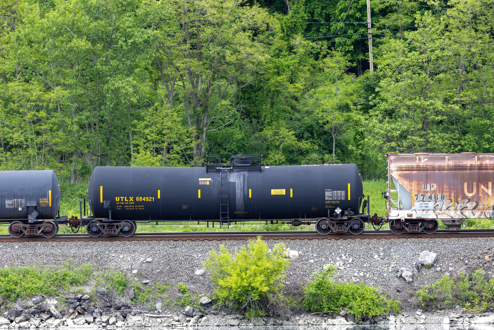 UTLX 684921