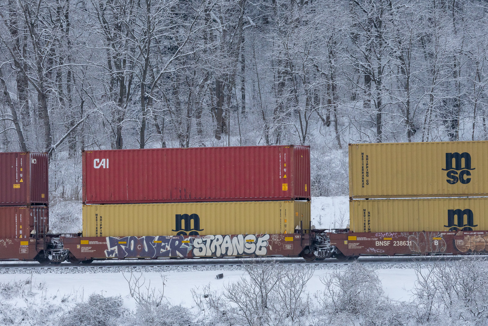 BNSF 238631C