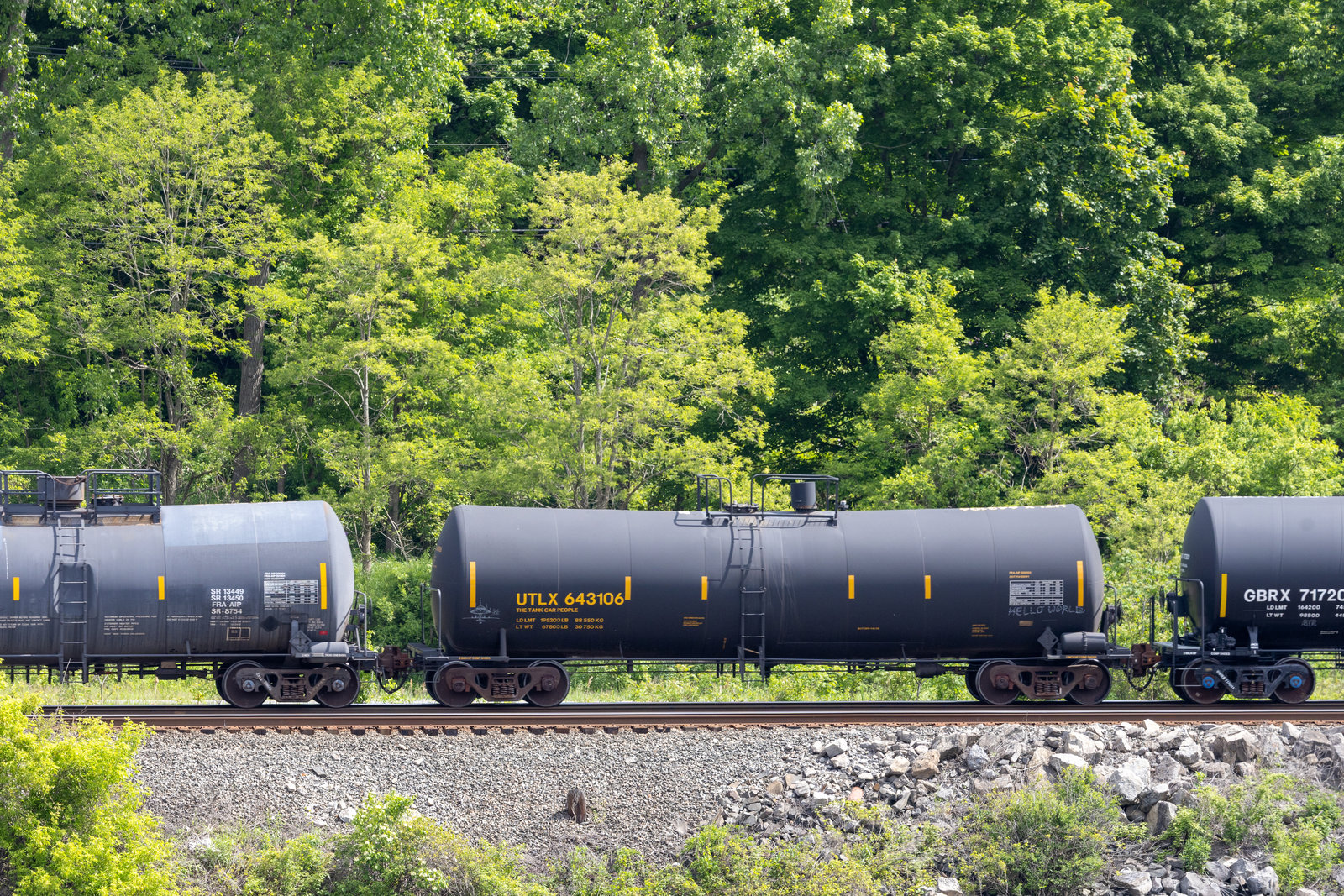 UTLX 643106