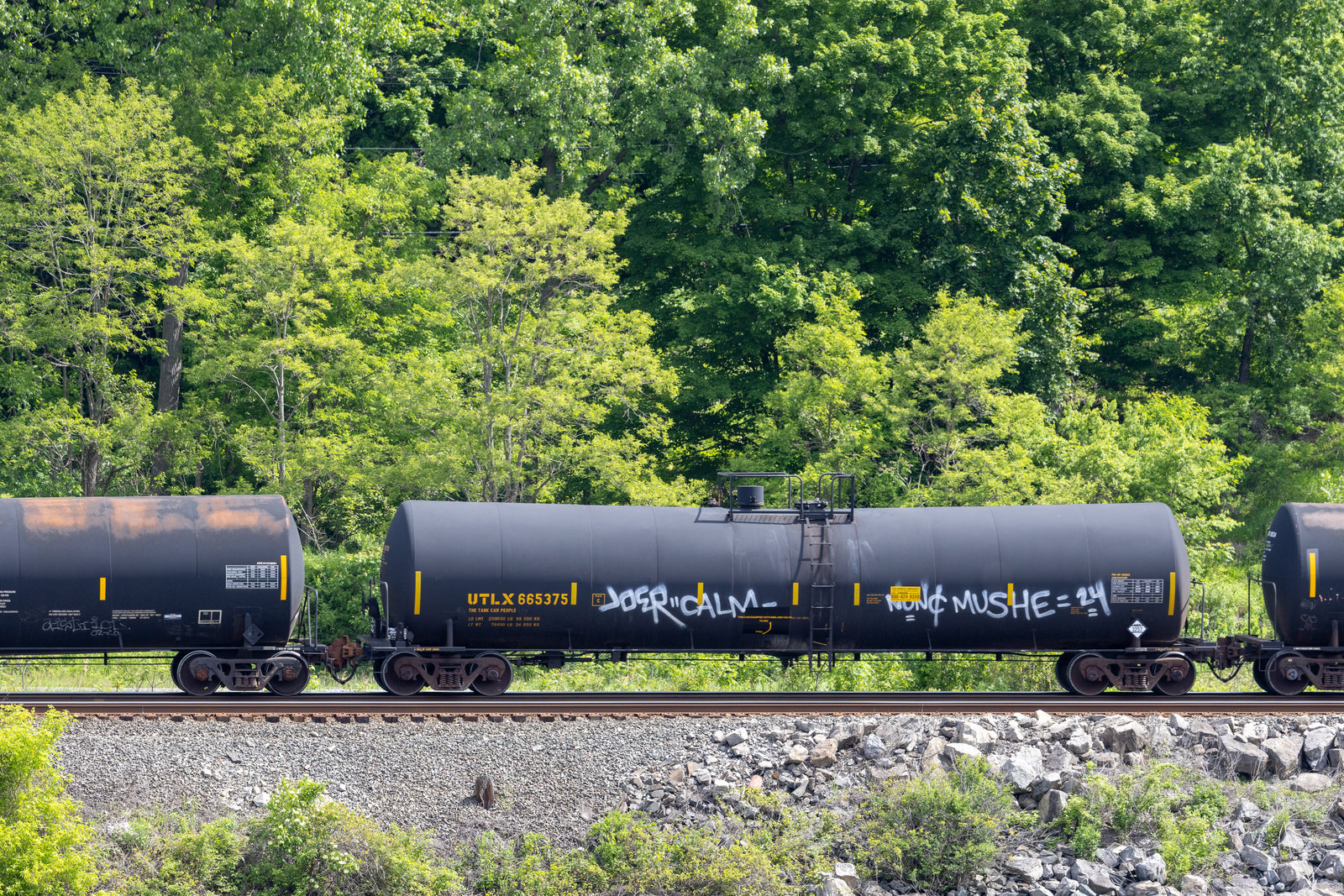 UTLX 665375