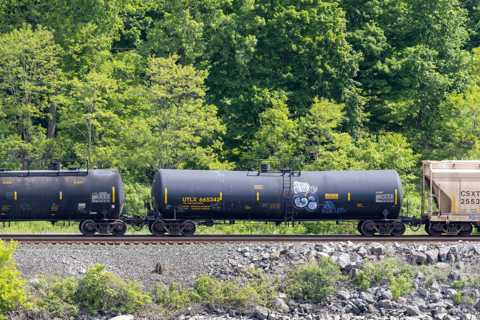 UTLX 665342
