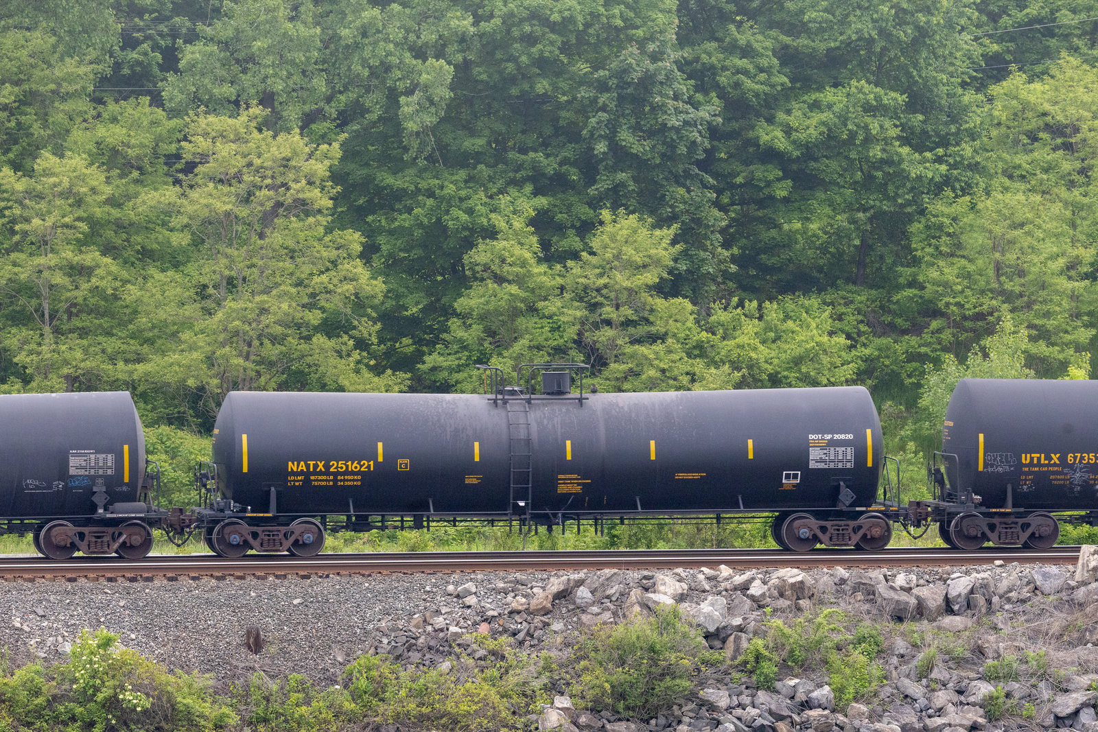 NATX 251621