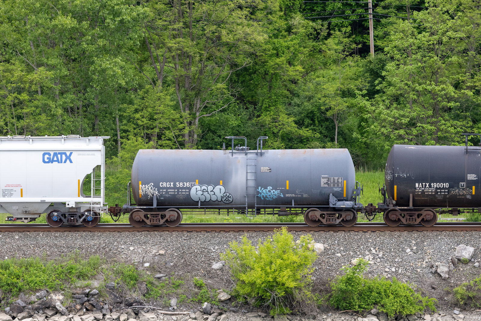 CRGX 5836
