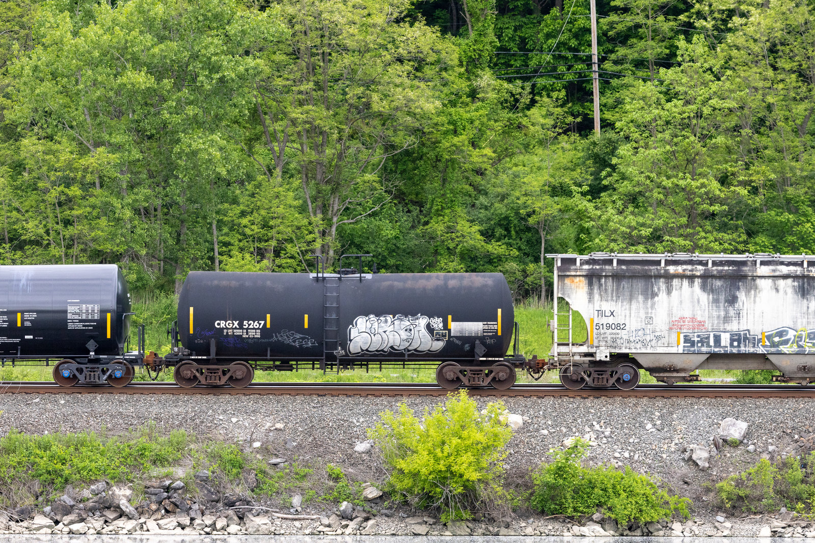CRGX 5267