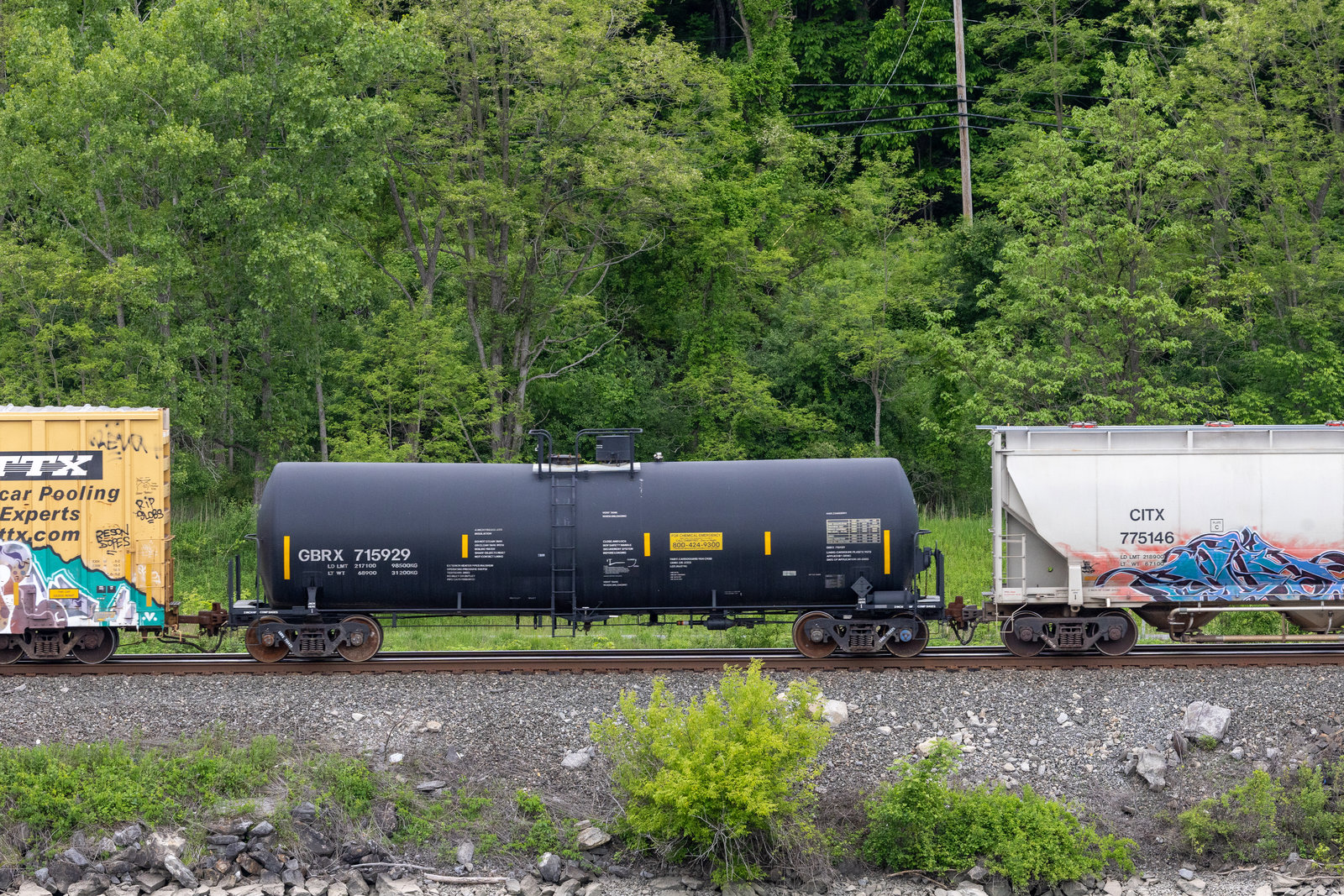 GBRX 715929