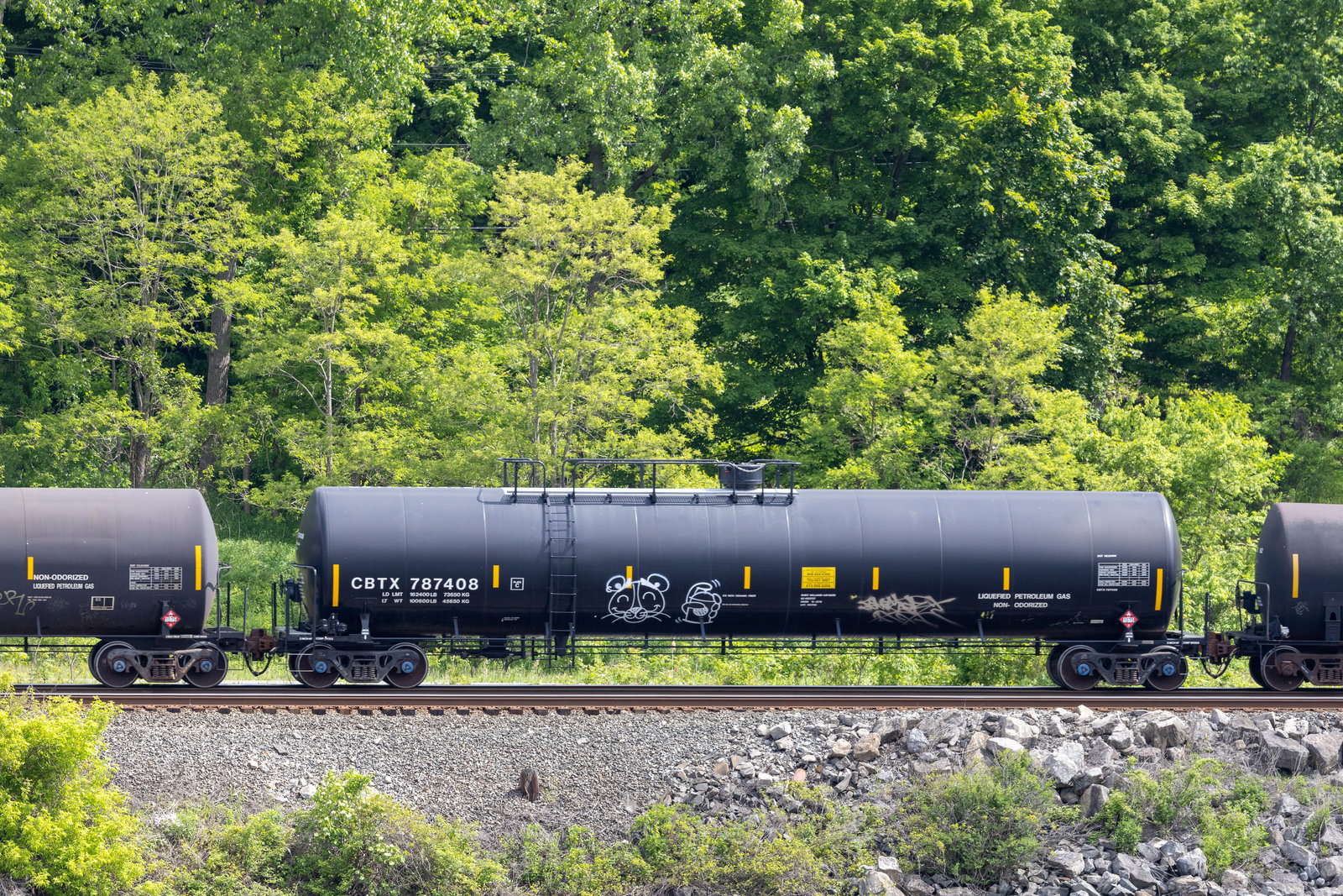 CBTX 787408