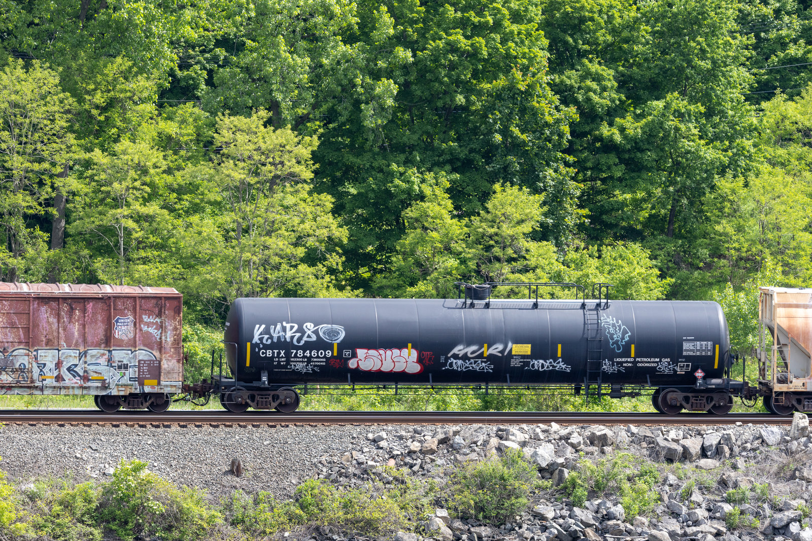 CBTX 784609