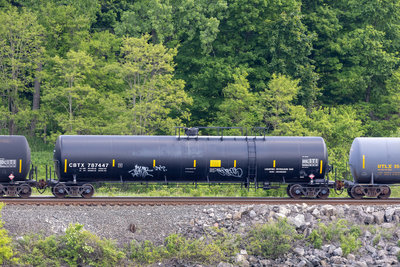CBTX 787447