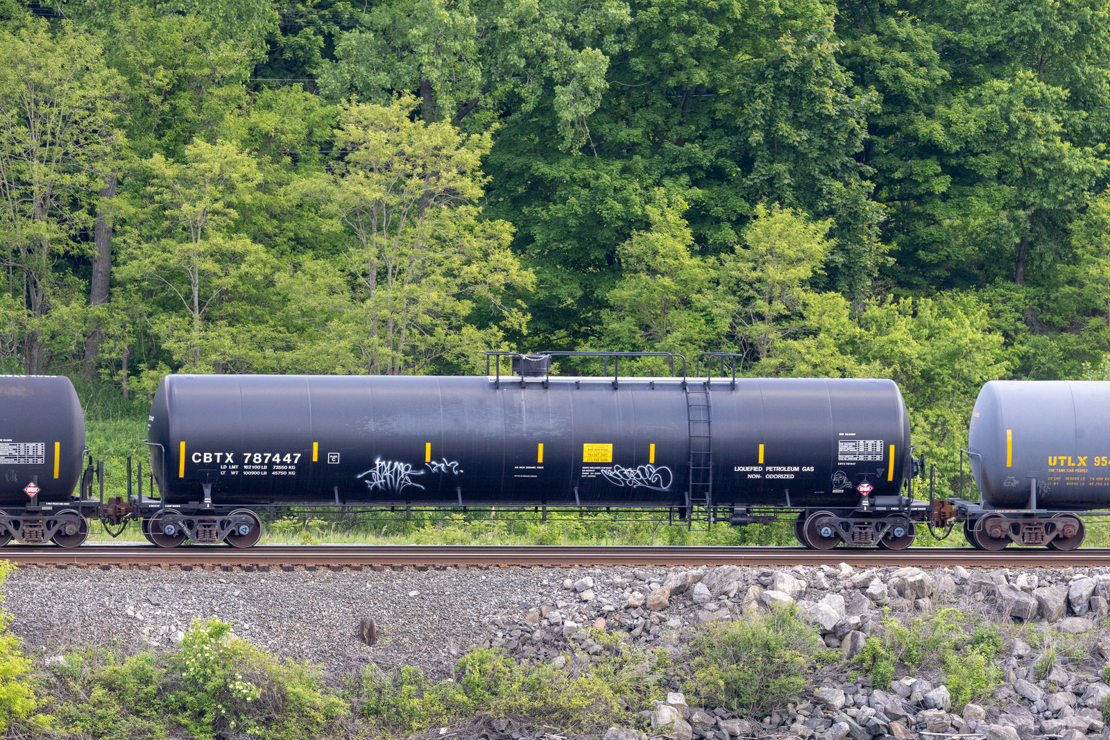 CBTX 787447