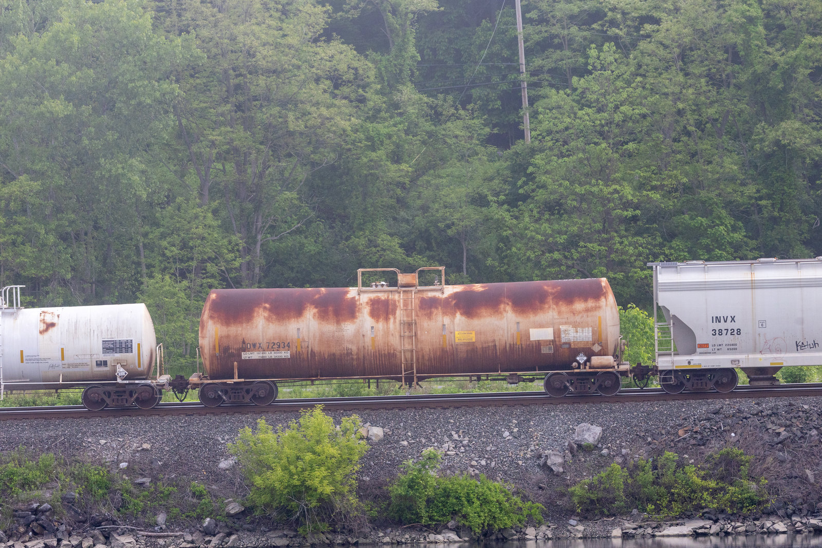 DOWX 72934